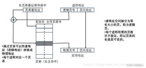 计算机组成原理3 存储体系